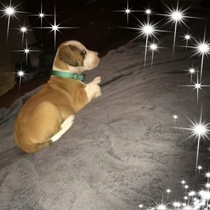 Meet your Posher, Breanna